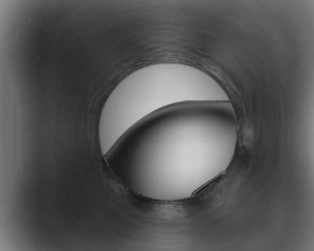 X0000089880521200706281053