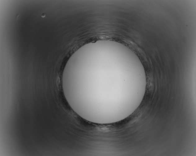 X0000089880523200706281053