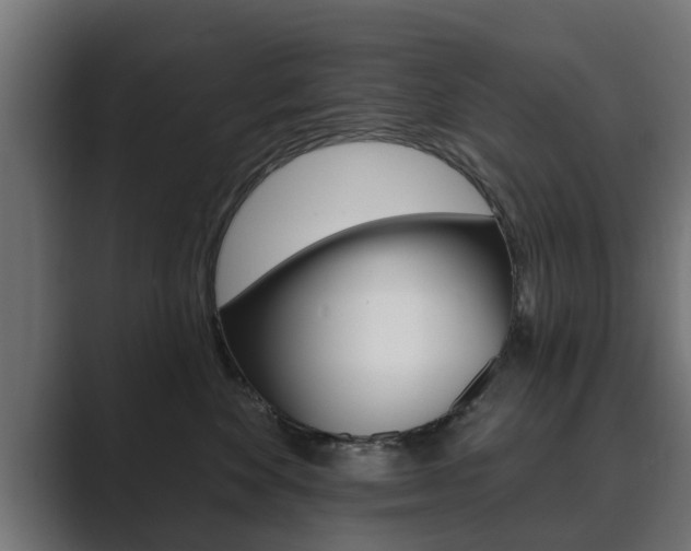 X0000089880524200706281053