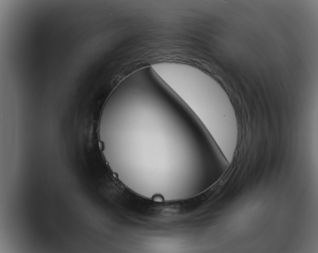 X0000089880525200706281053