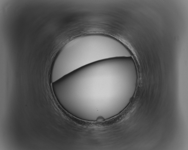 X0000089880529200706281052