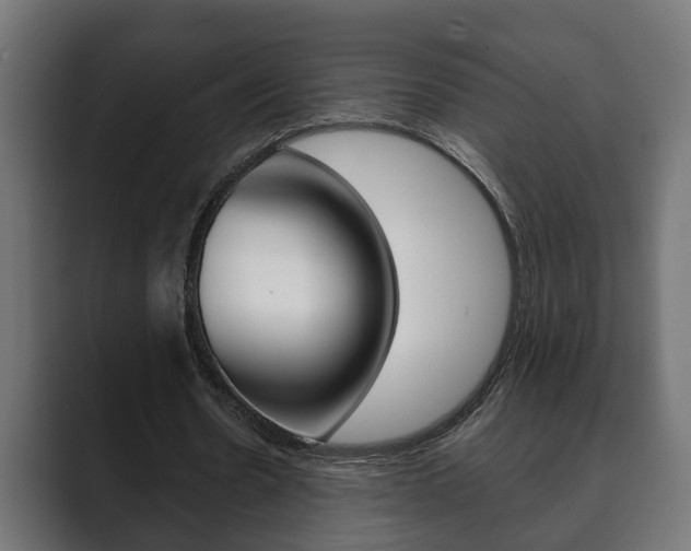 X0000089880530200706281052
