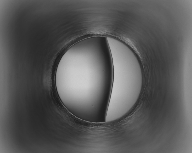 X0000089880531200706281052