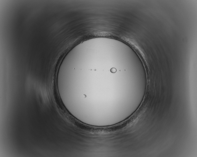 X0000089880533200706281052