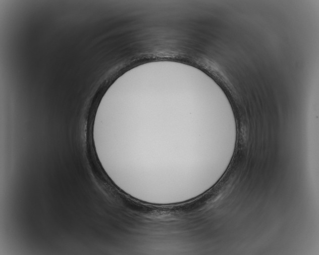 X0000089880534200706281052
