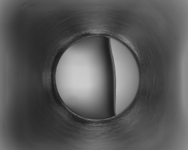 X0000089880535200706281052