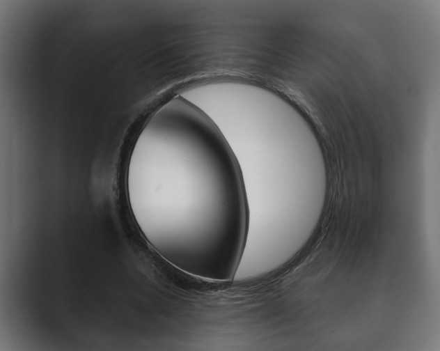 X0000089880536200706281052