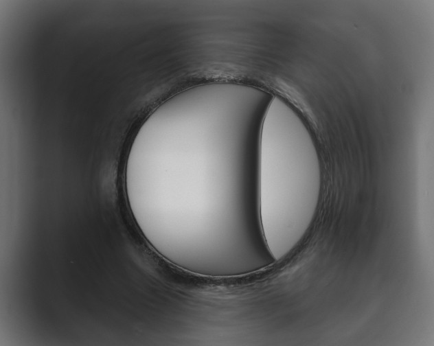 X0000089880538200706281052