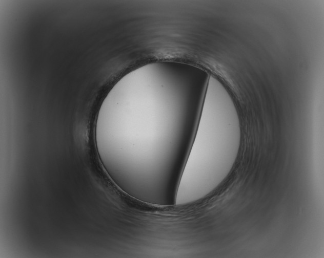 X0000089880539200706281052