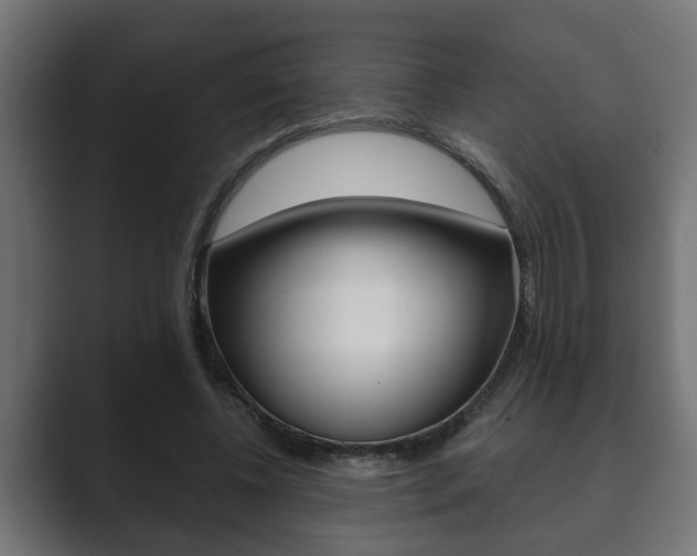 X0000089880540200706281052