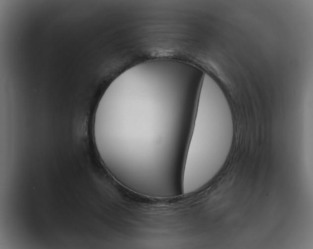 X0000089880543200706281052