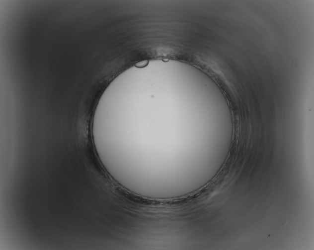 X0000089880545200706281052