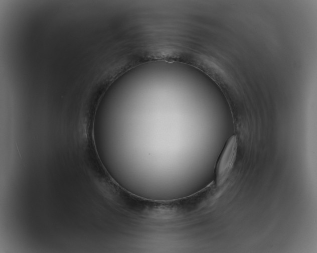 X0000089880546200706281052