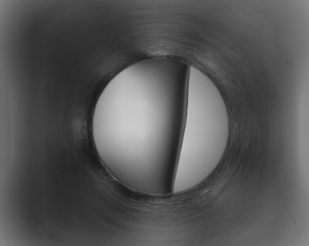 X0000089880547200706281052