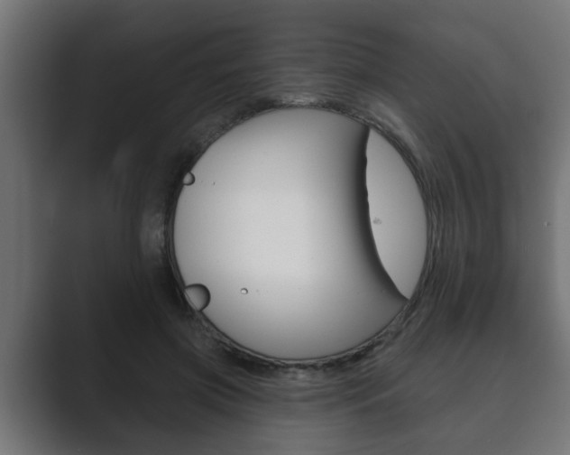 X0000089880549200706281052