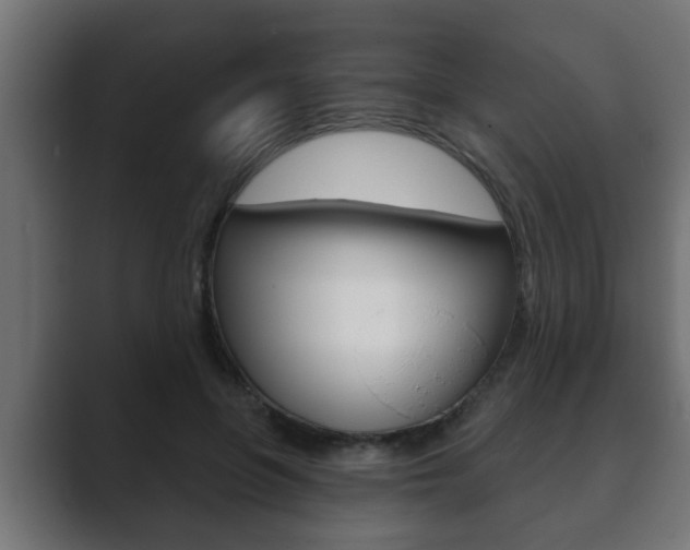 X0000089880551200706281052