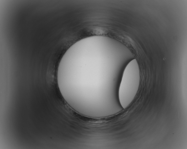 X0000089880553200706281053