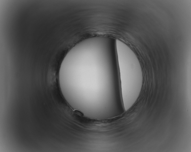 X0000089880555200706281053