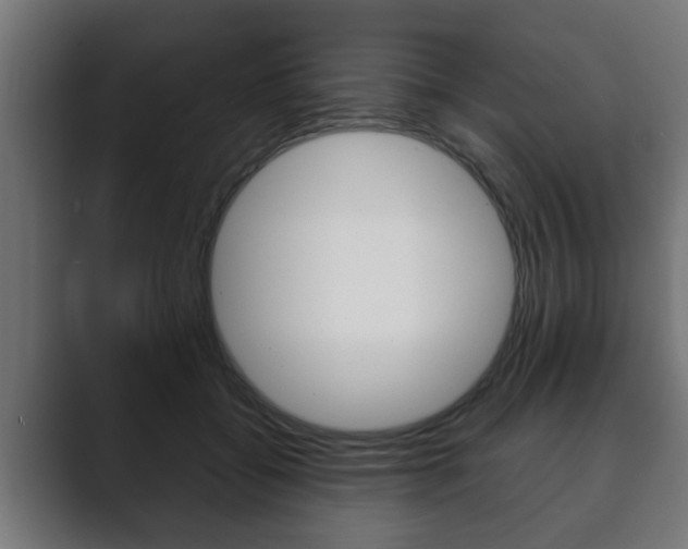 X0000089880556200706281053