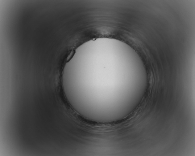 X0000089880559200706281053