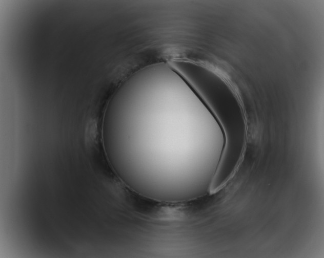 X0000089880560200706281053