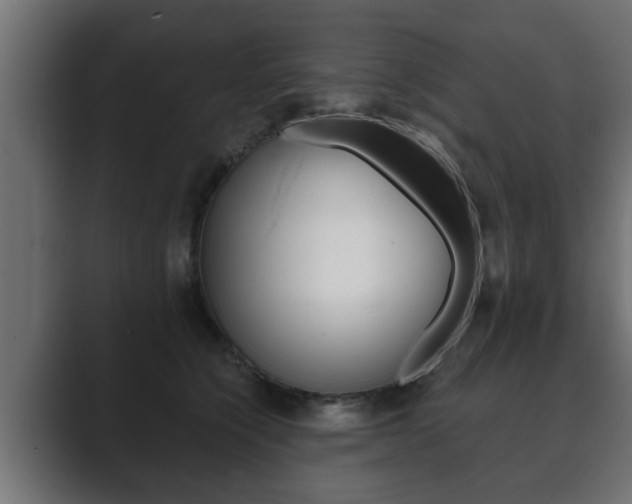 X0000089880564200706281053