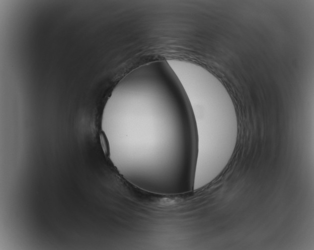 X0000089880566200706281053