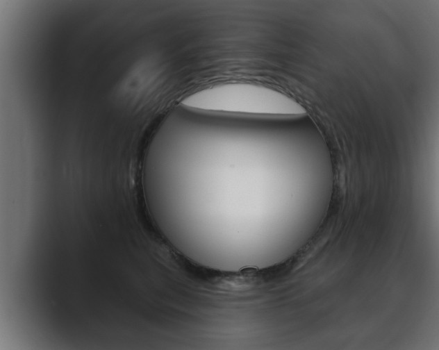 X0000089880567200706281053