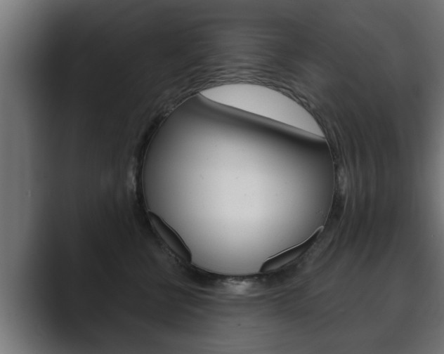 X0000089880570200706281053