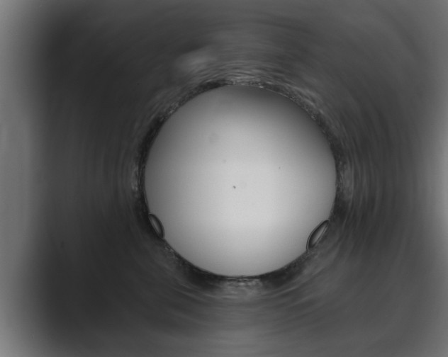 X0000089880571200706281053