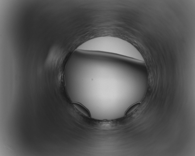 X0000089880574200706281053