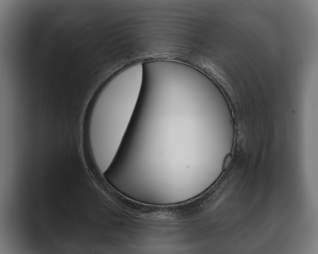 X0000089880578200706281052