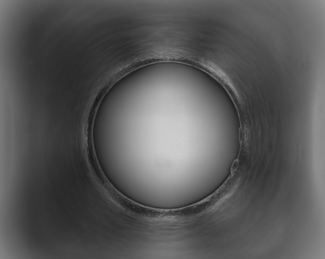 X0000089880581200706281052
