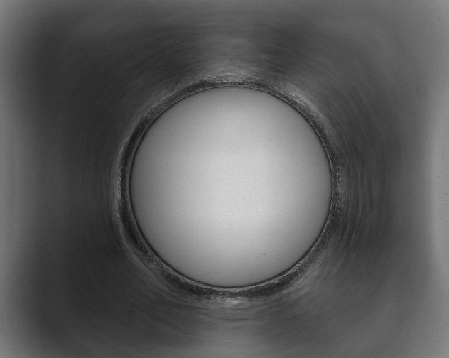 X0000089880582200706281052