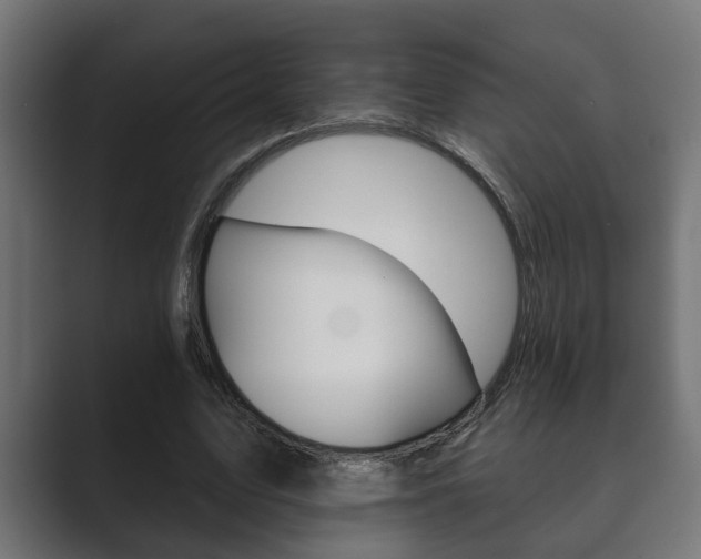 X0000089880583200706281052