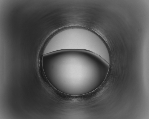 X0000089880584200706281052