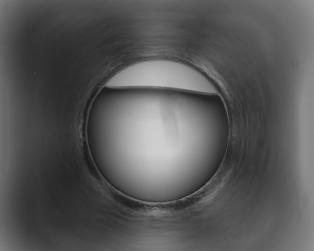 X0000089880585200706281052