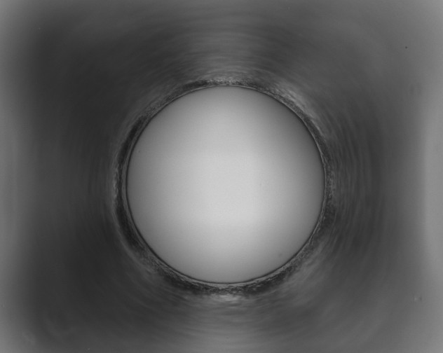 X0000089880586200706281052