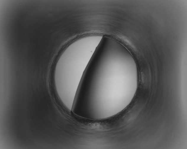 X0000089880588200706281052