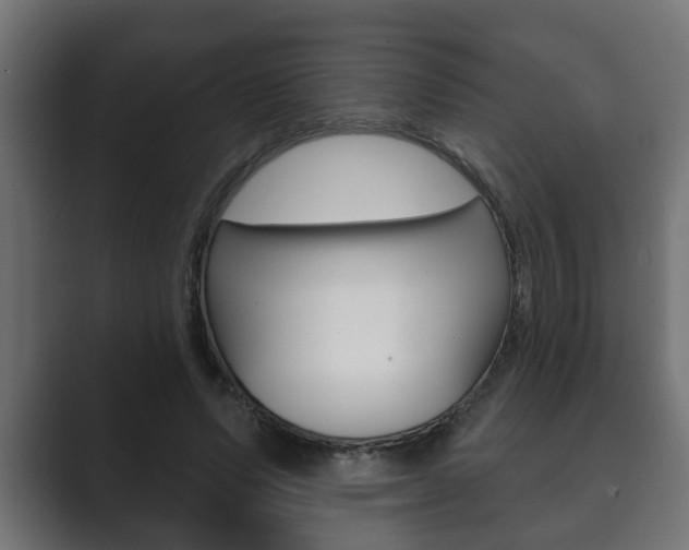 X0000089880591200706281052