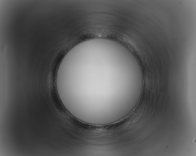 X0000089880594200706281052
