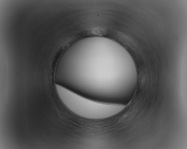X0000089880595200706281052
