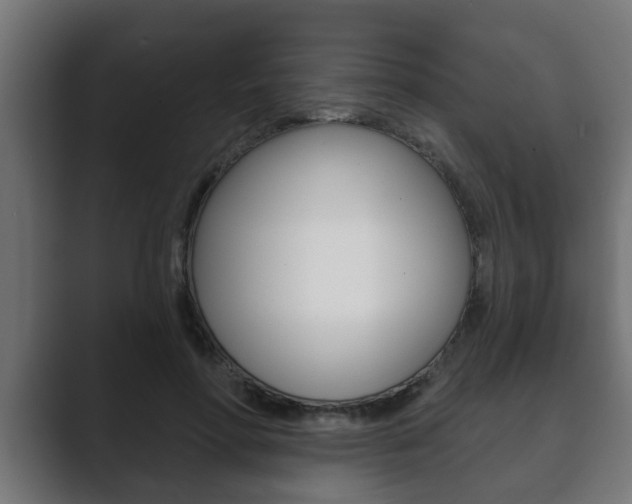 X0000089880598200706281052