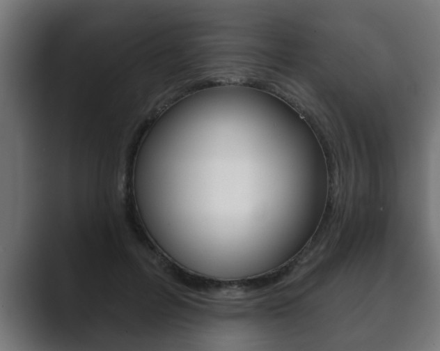 X0000089880600200706281052