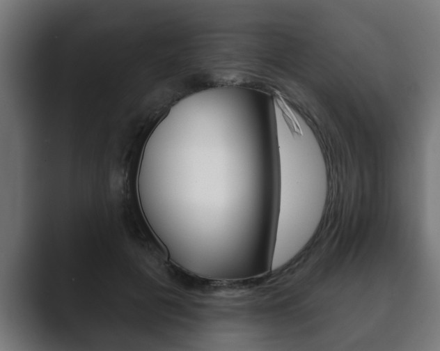 X0000089880601200706281052