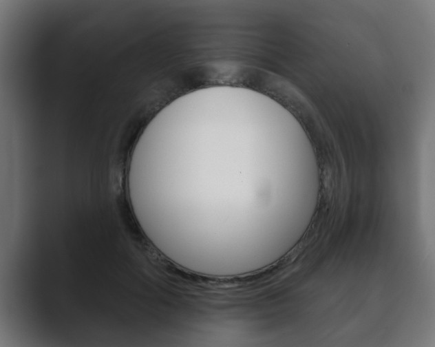 X0000089880602200706281052