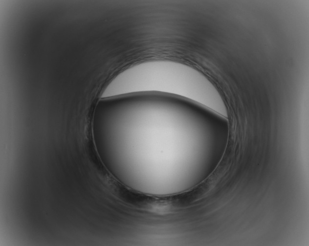 X0000089880604200706281052