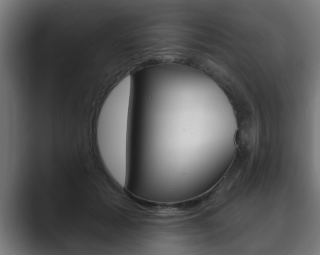 X0000089880605200706281052