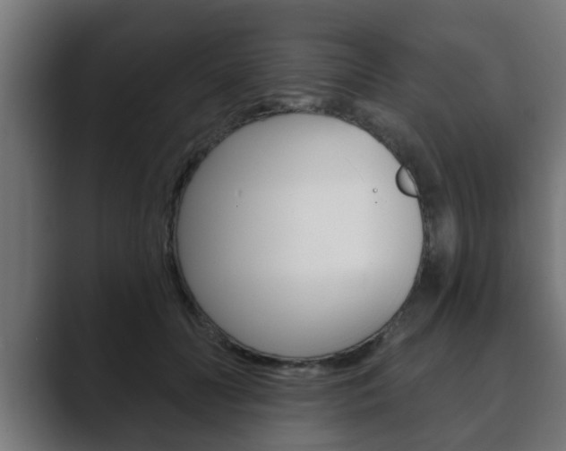 X0000089880606200706281052
