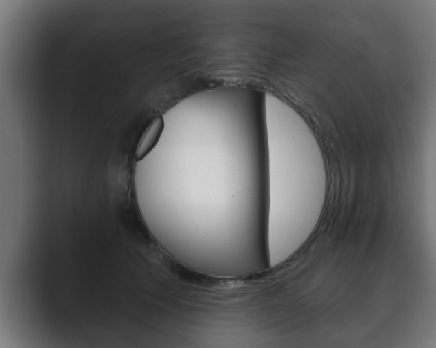 X0000089880609200706281052